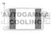 AUTOGAMMA 102782 Condenser, air conditioning